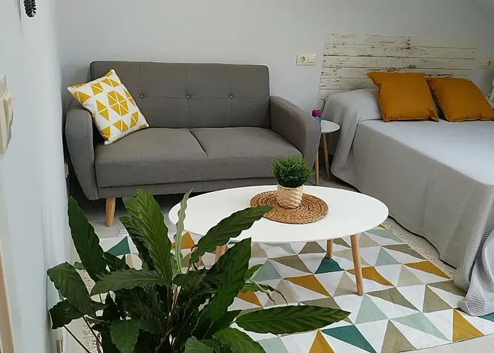 Coqueto Estudio En *