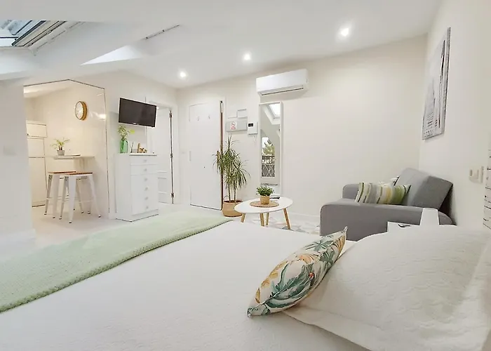 Coqueto Estudio En *